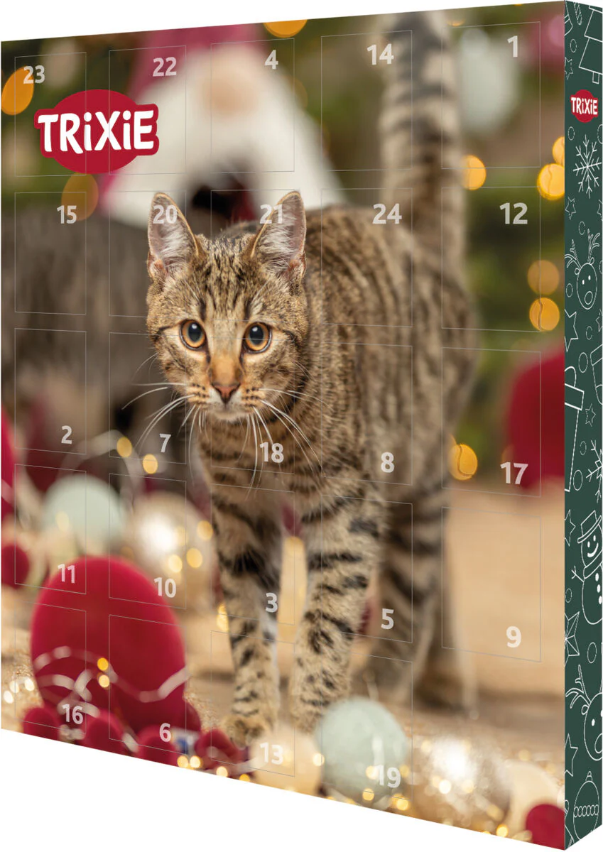 Adventskalender für Katzen