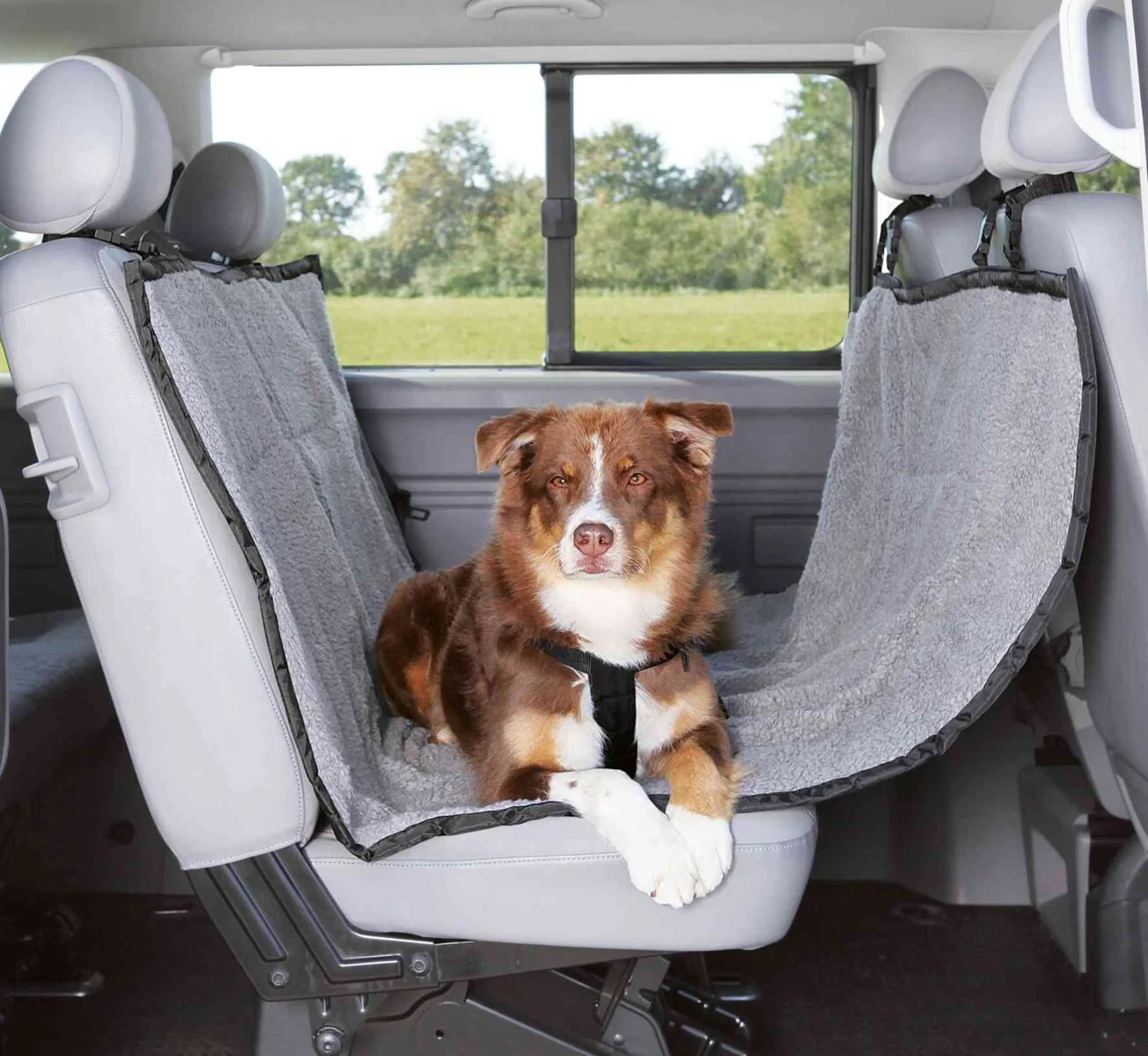Auto-Schondecke - Image 2