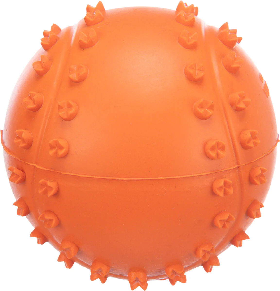 Ball Hundespielzeug