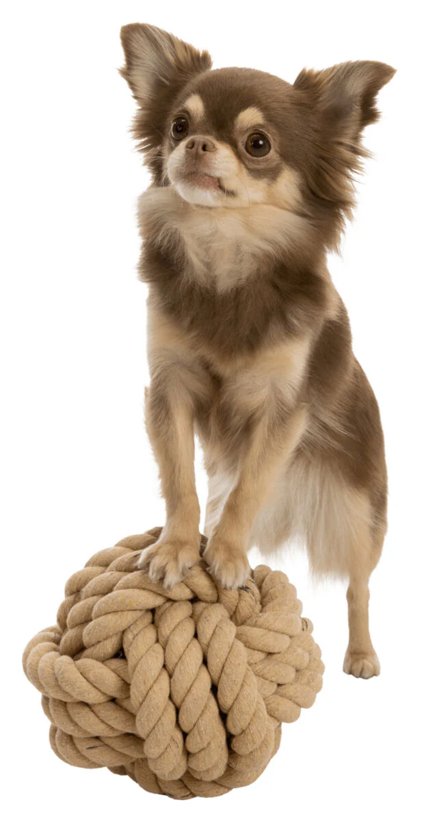 BE NORDIC Tau-Ball für Hunde - Image 2