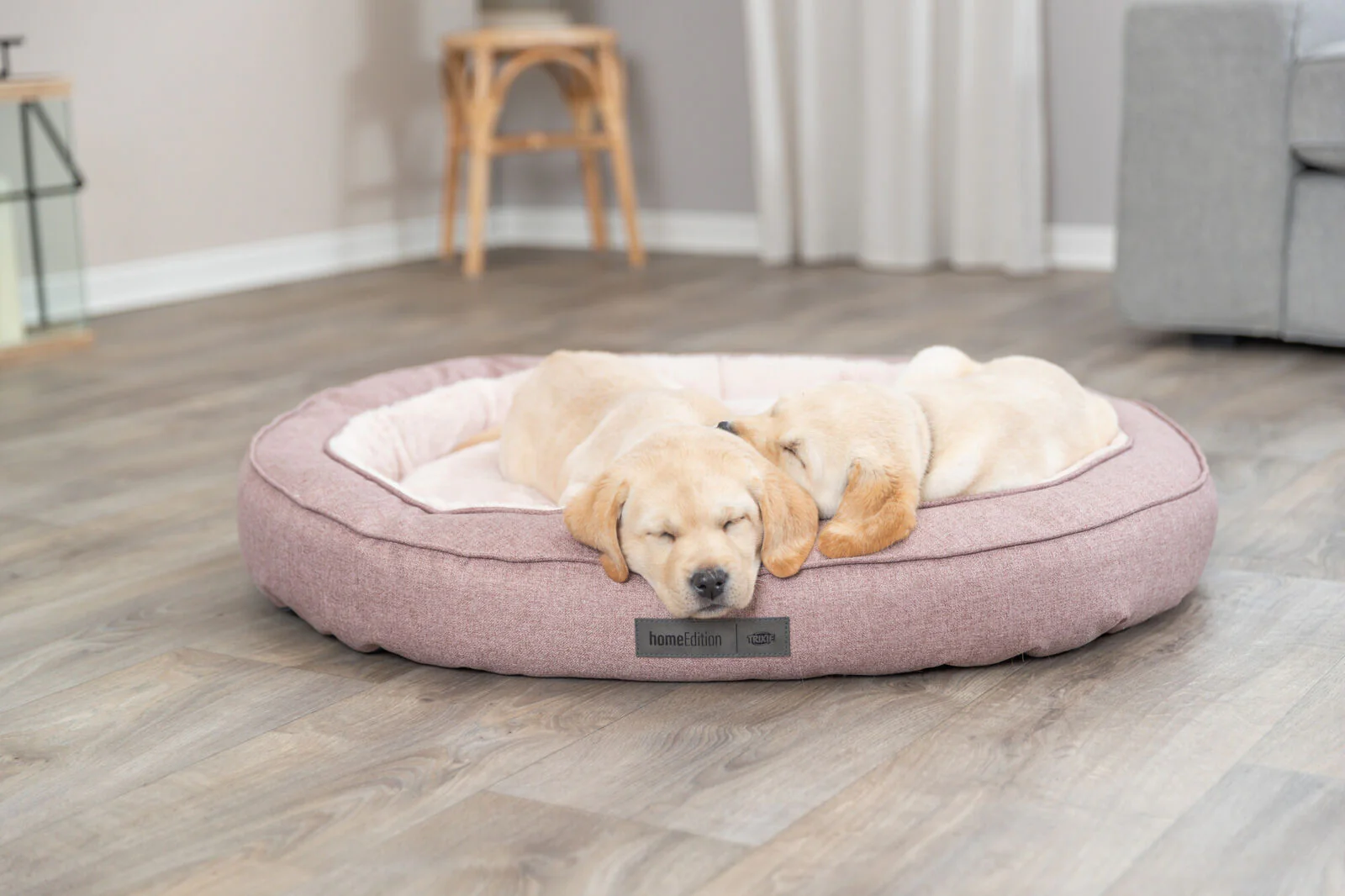 Bett Felicia - Image 6