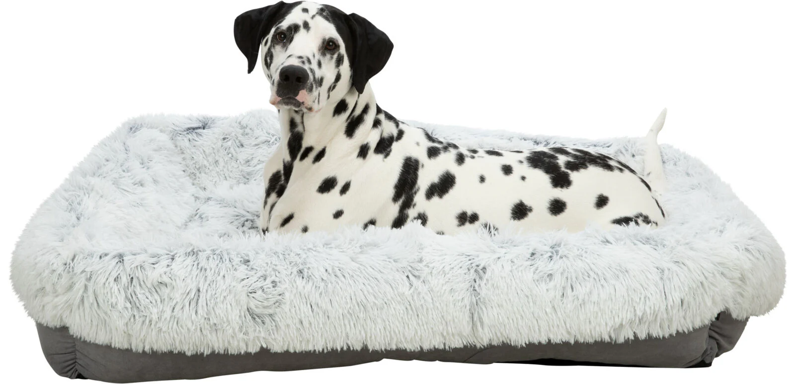 Bett Harvey - Image 8
