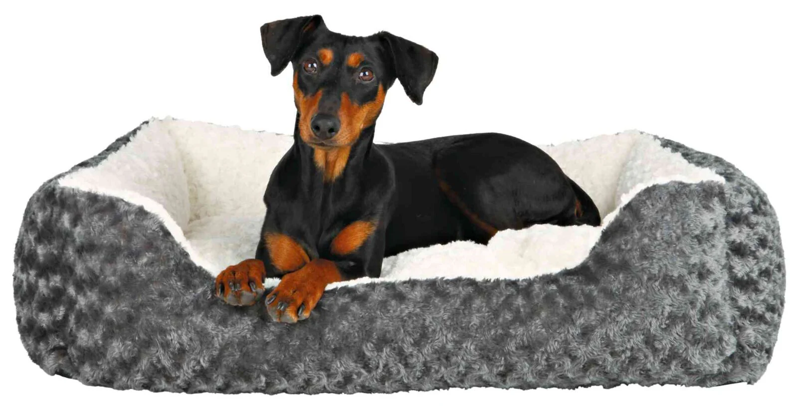 Bett Kaline - Image 3