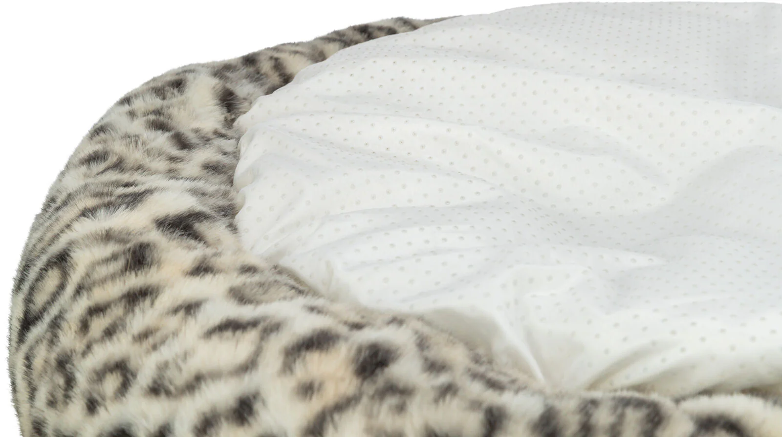 Bett Leo - Image 2