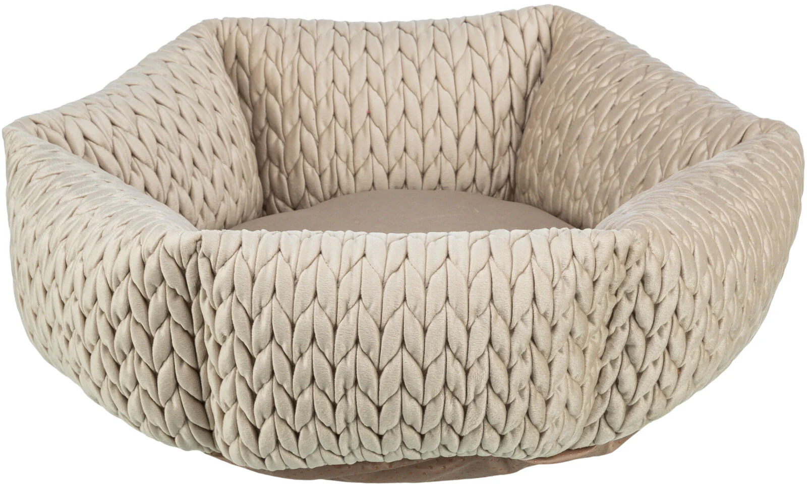 Bett Livia - Image 3