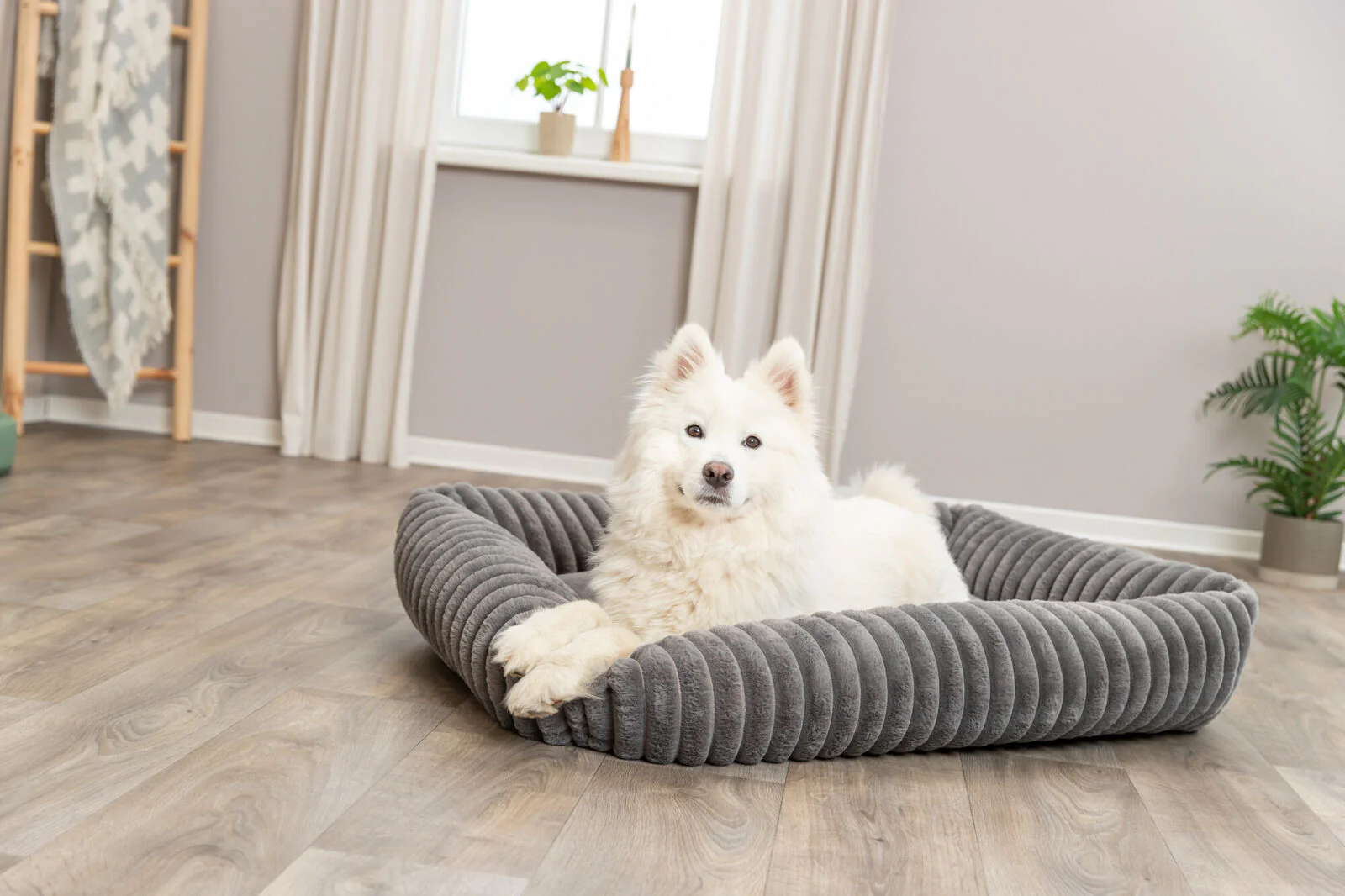 Bett Lonni - Image 4