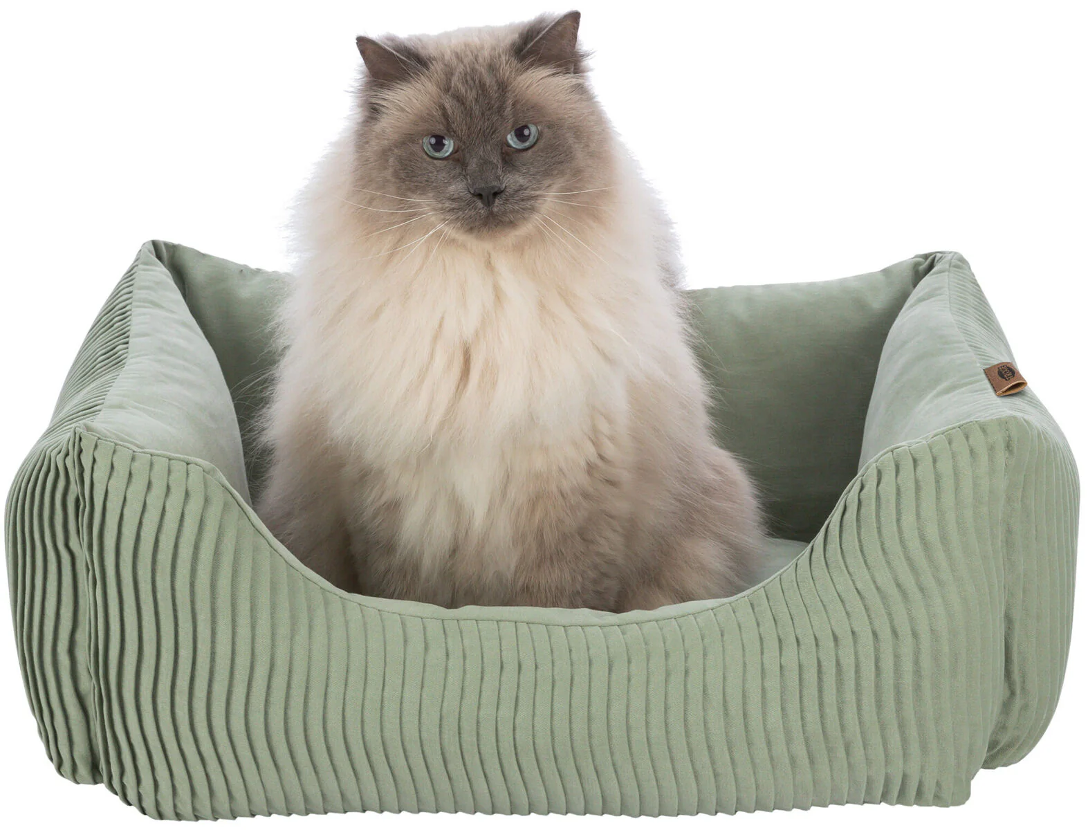 Bett Marley - Image 7