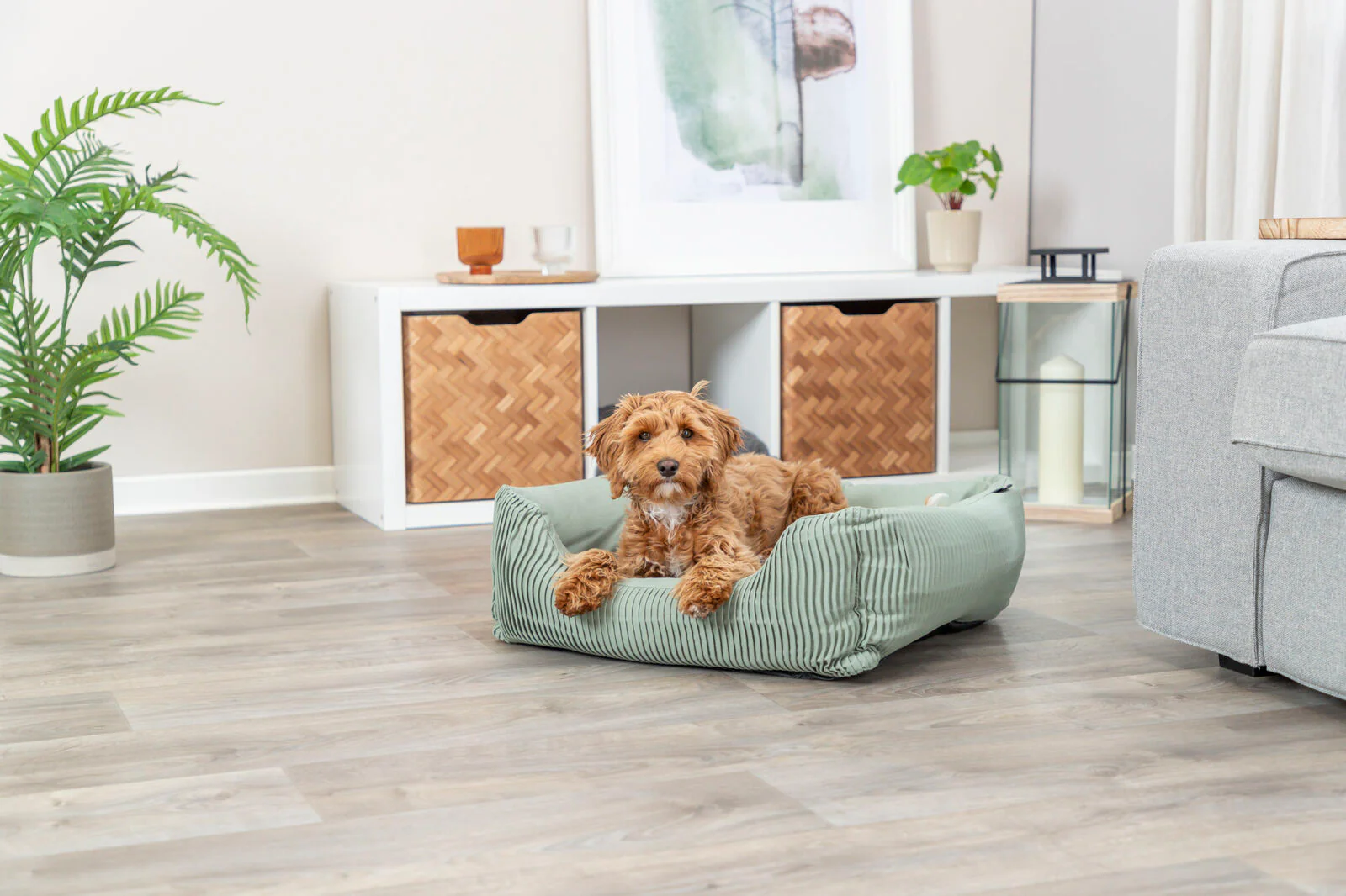 Bett Marley - Image 9