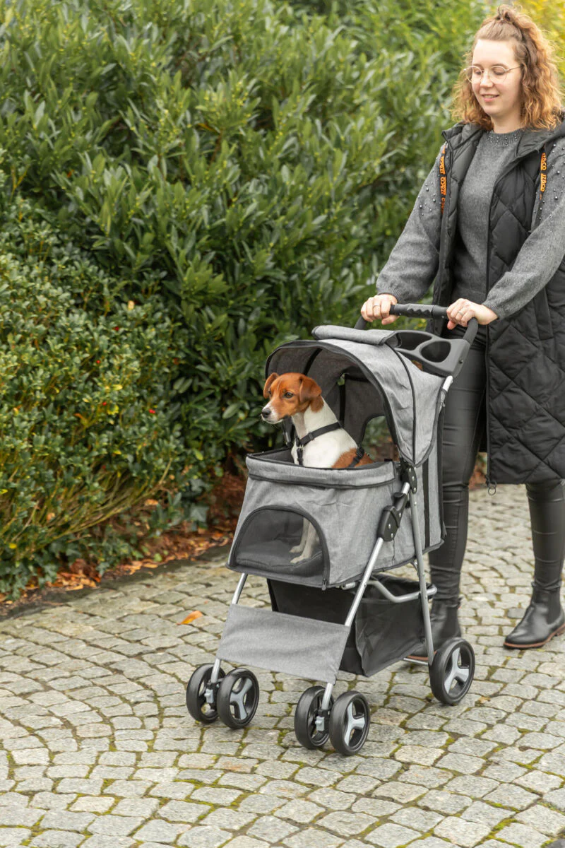 Buggy für Hunde - Image 13