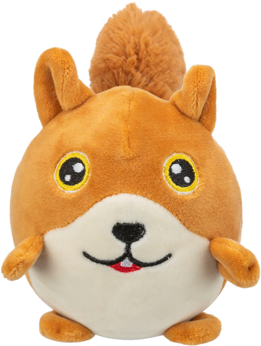 Eichhörnchen - Image 2