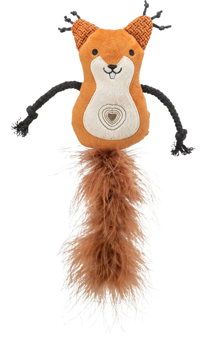 Eichhörnchen