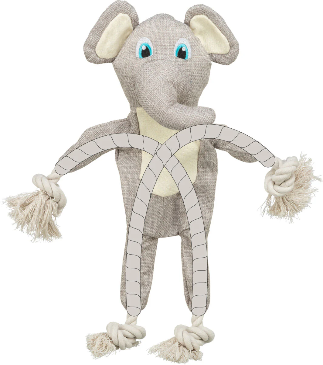 Elefant - Image 2