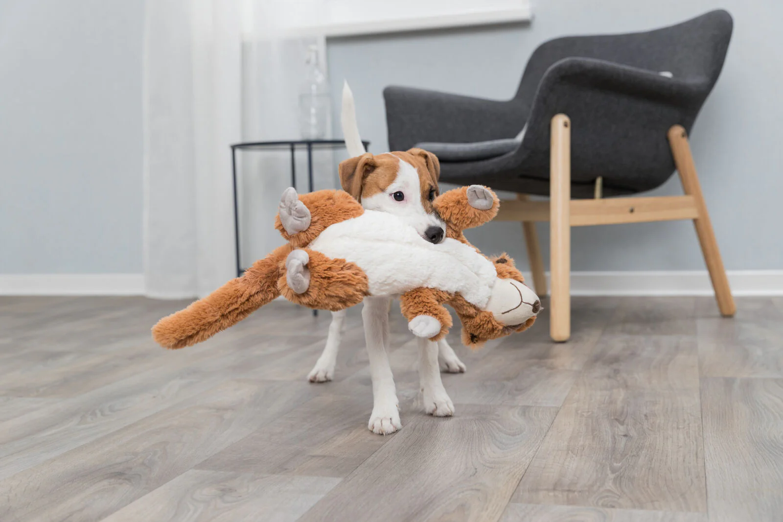 Erdmännchen Hundespielzeug - Image 3