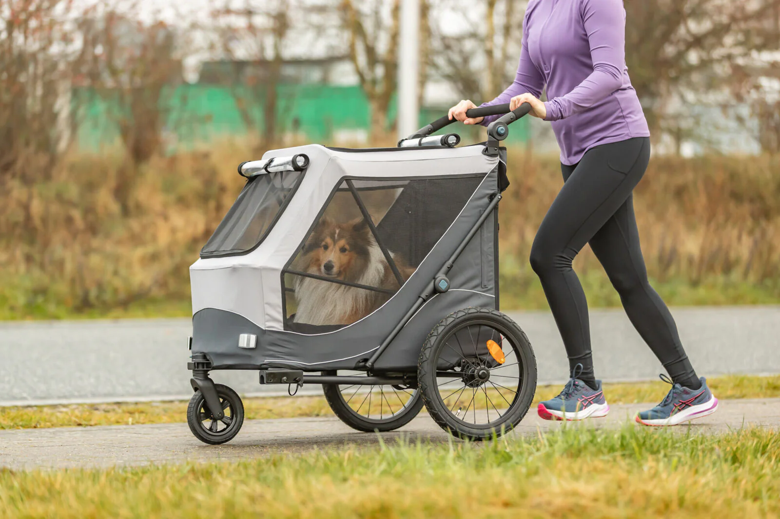 Fahrrad-Anhänger für Hunde - Image 31
