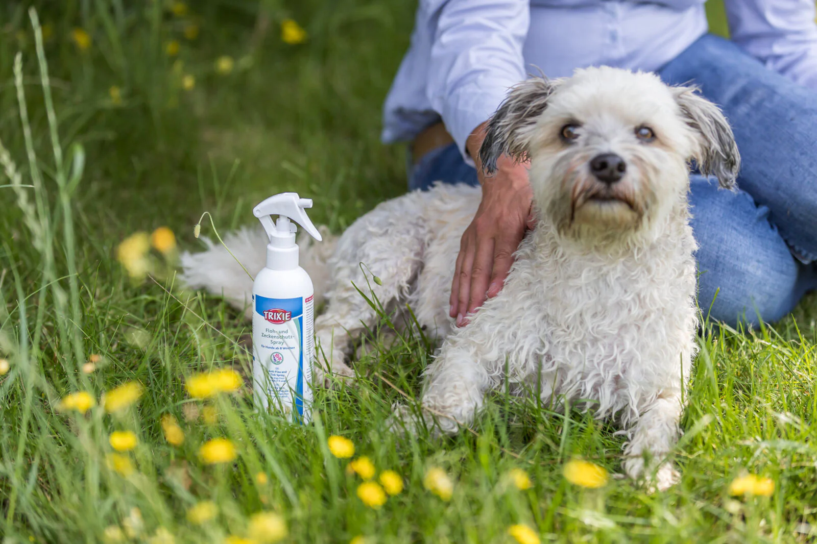 Floh- und Zeckenschutz-Spray - Image 3