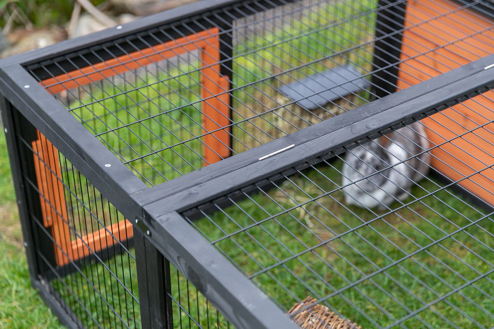 Freilaufgehege mit Abdeckung - Image 2