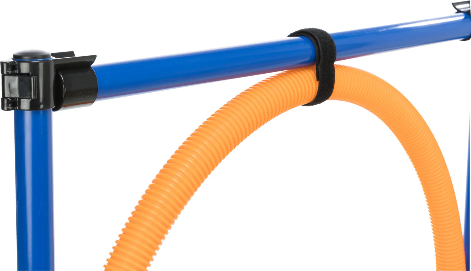 Fun Agility Ring - Image 3