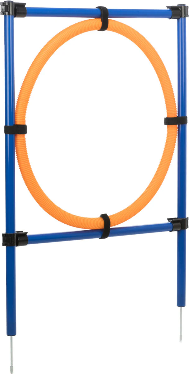 Fun Agility Ring - Image 8