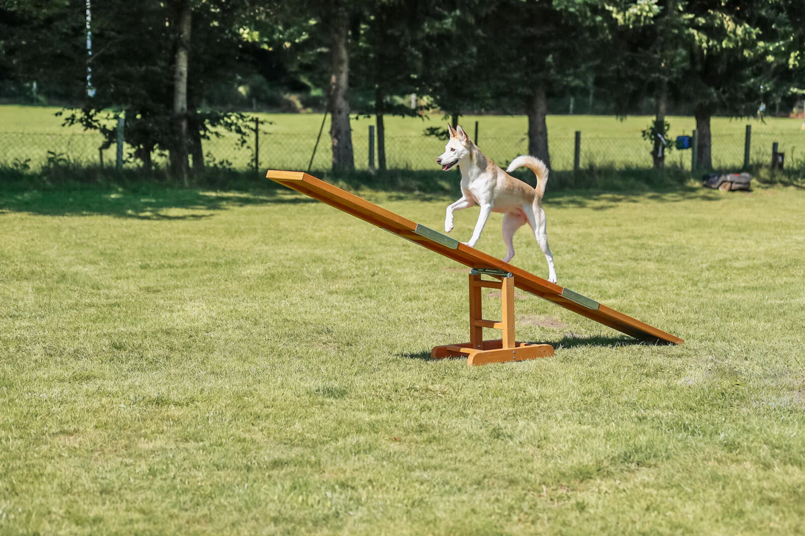 Fun Agility Wippe