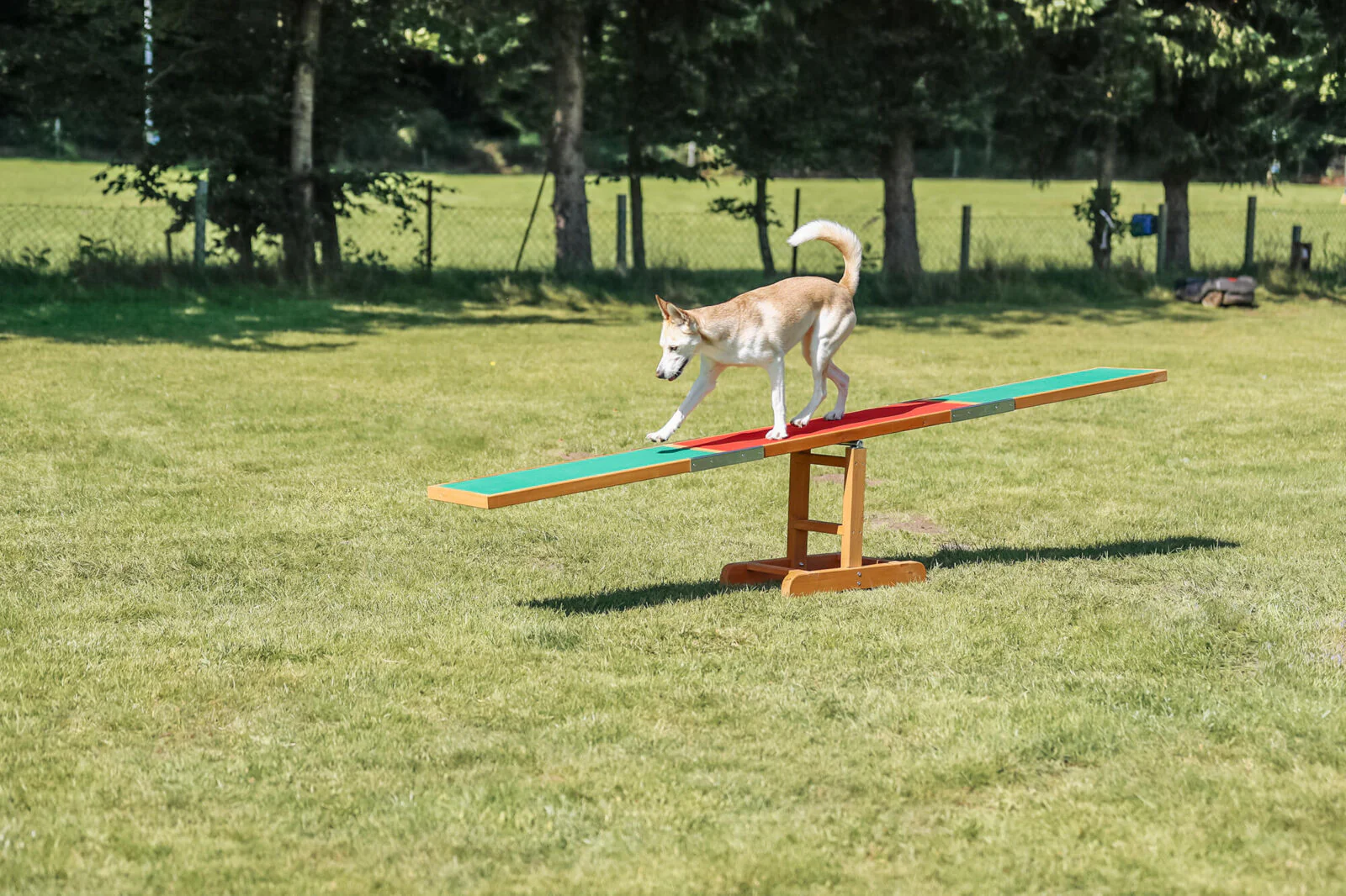 Fun Agility Wippe - Image 2