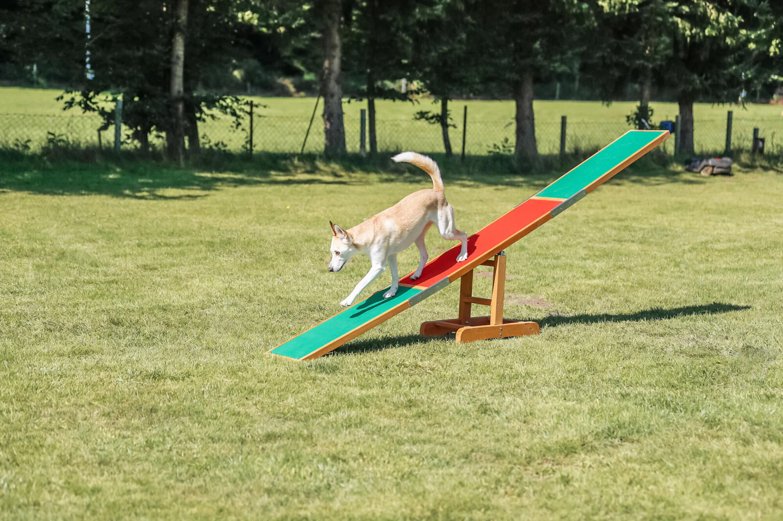 Fun Agility Wippe - Image 3