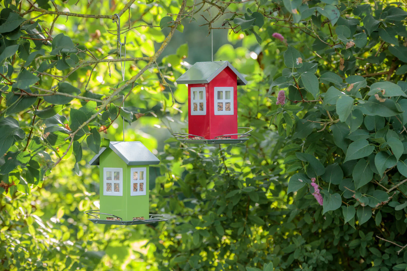 Futterhaus - Image 7