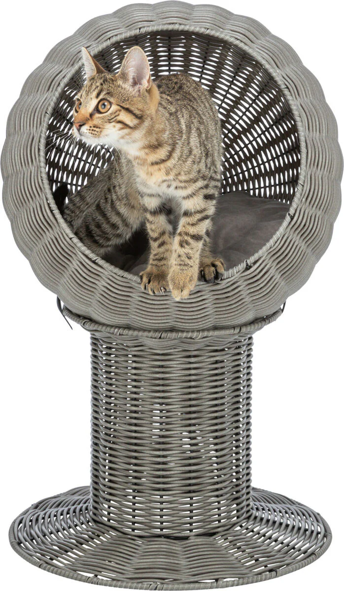 Höhle Amalia - Image 5