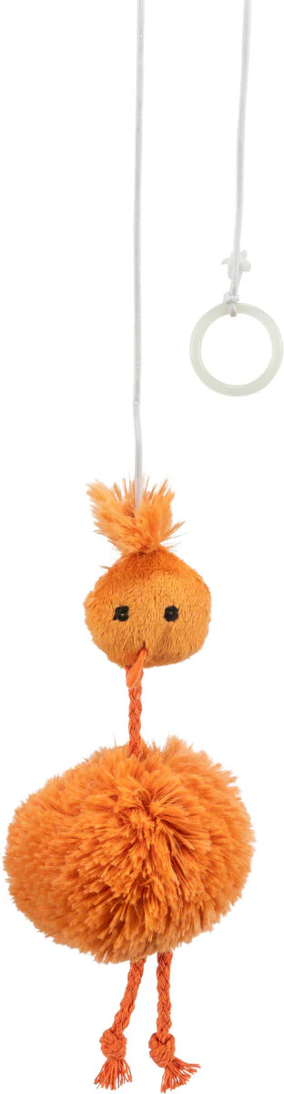 Huhn am Gummiband