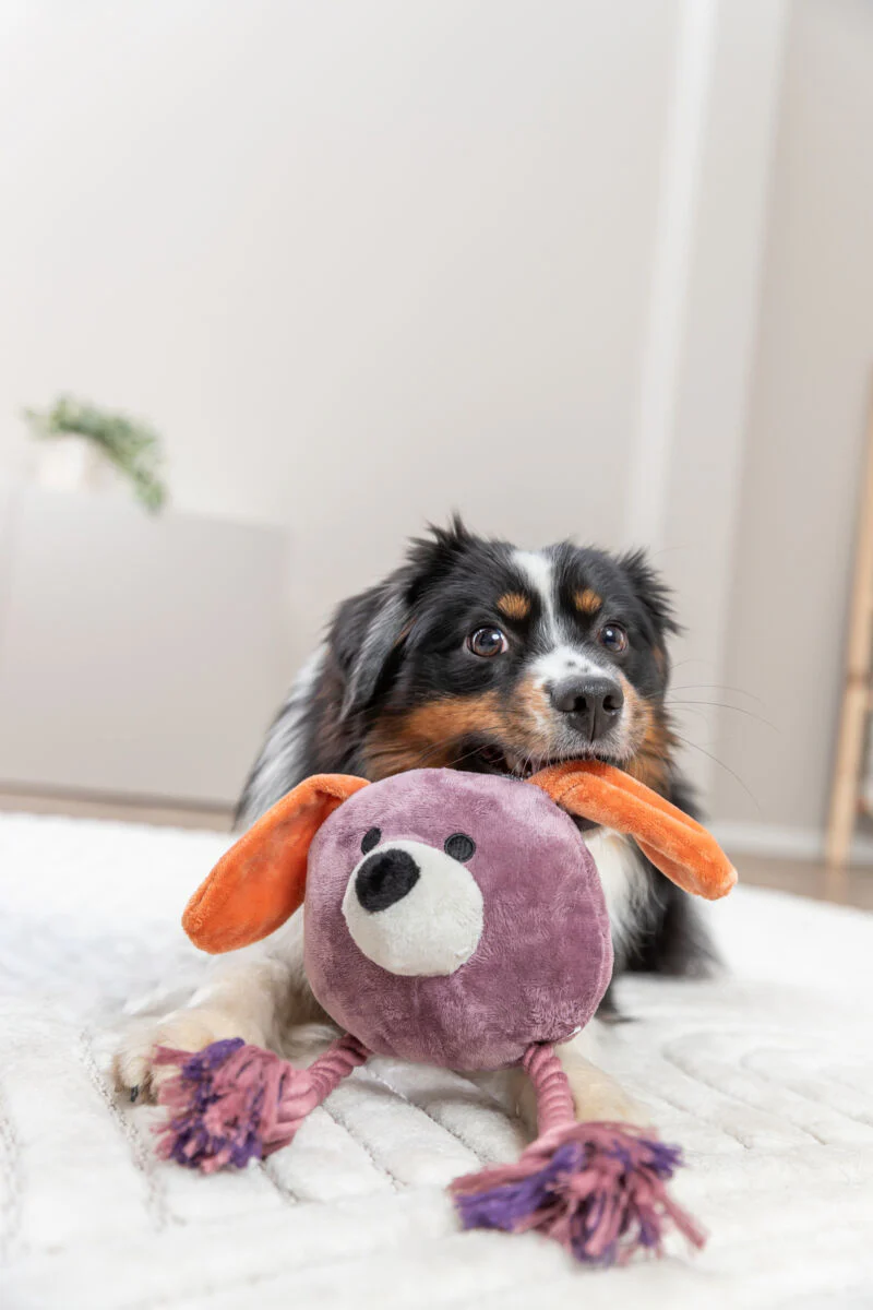 Hundeplüschtier Hund mit Tau - Image 4