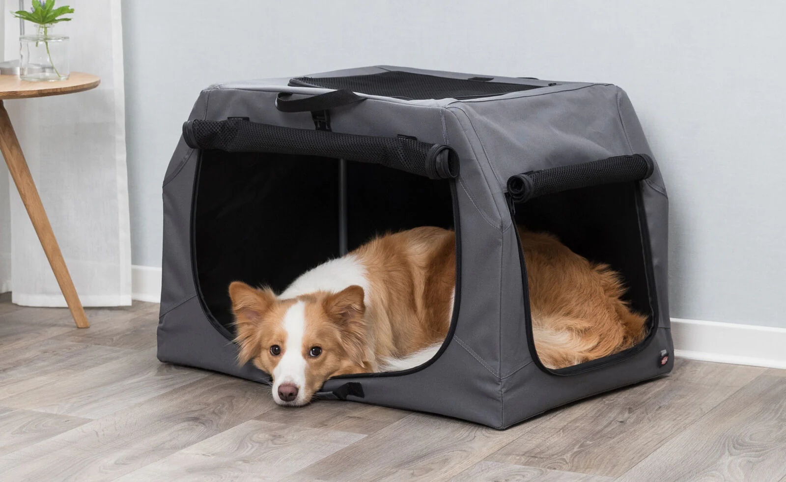 Hundebox Easy - Image 17