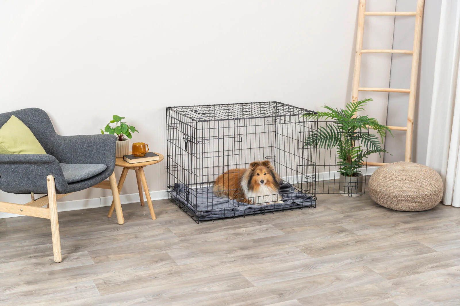 Hundebox Home - Image 16