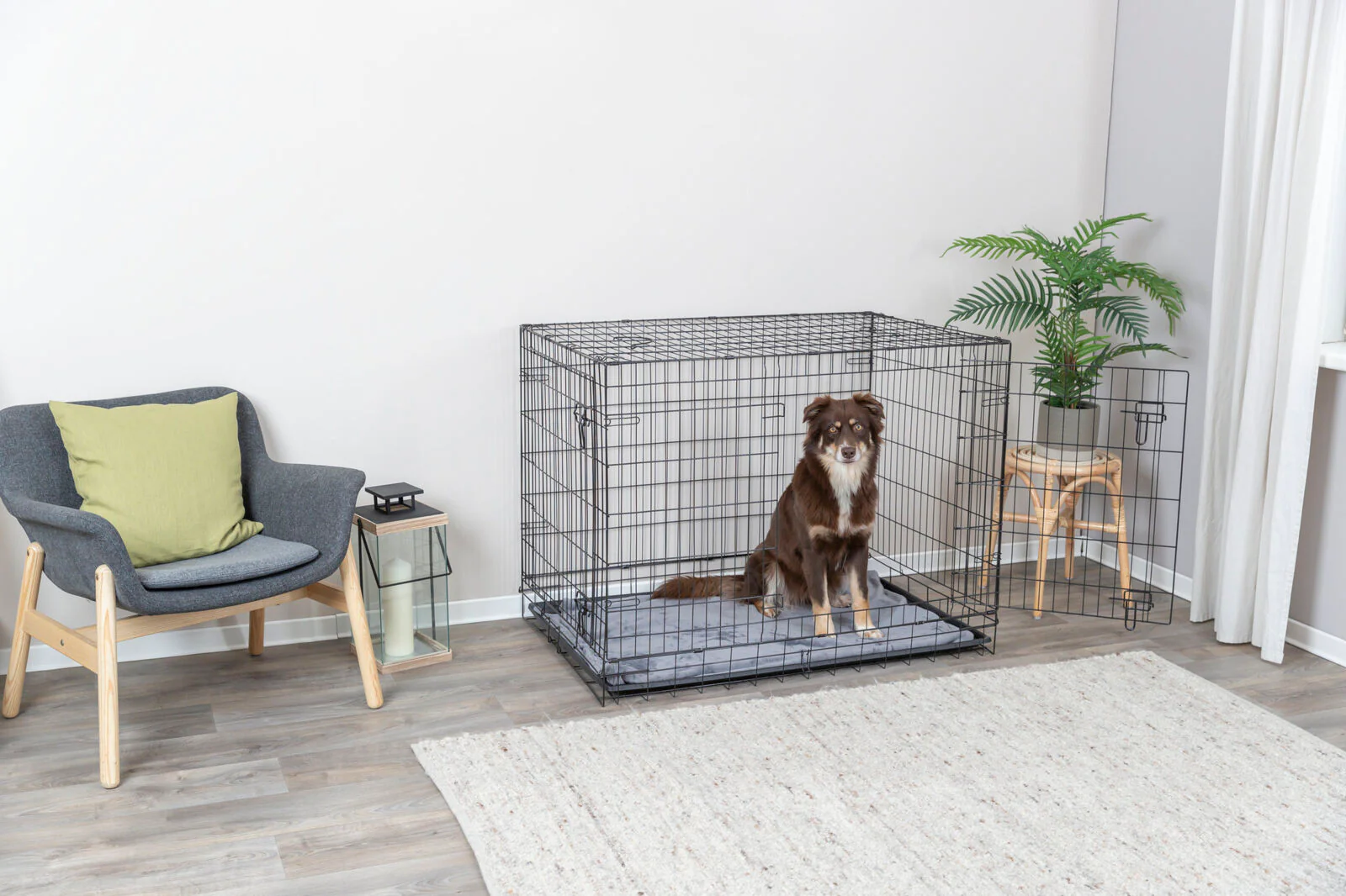 Hundebox Home - Image 24
