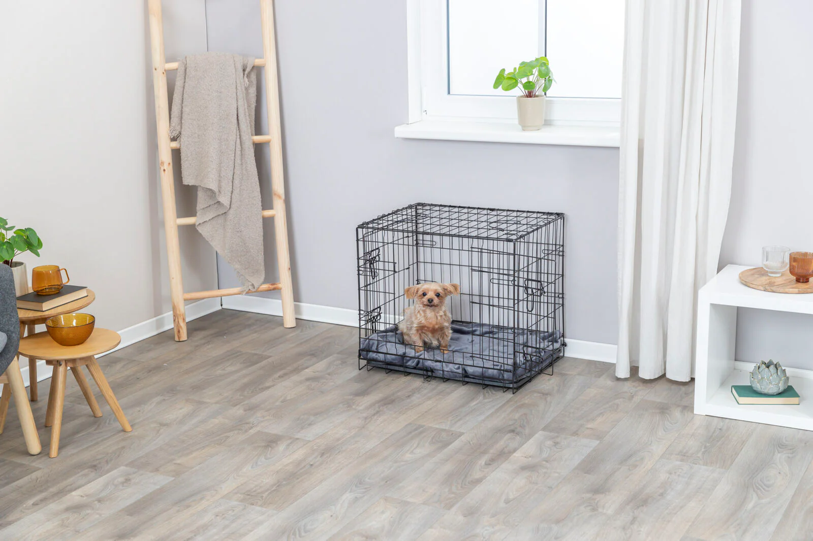 Hundebox Home - Image 3