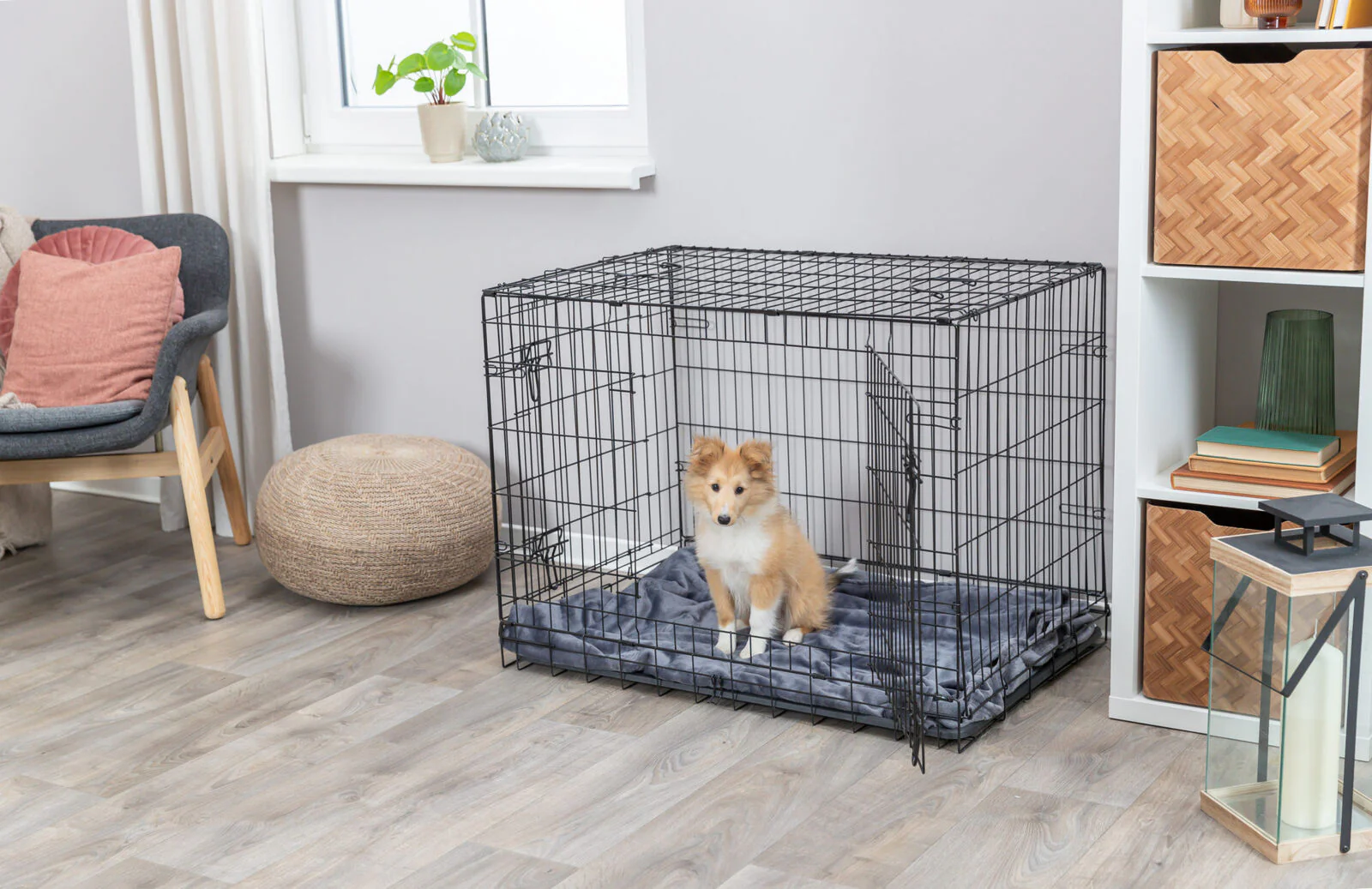 Hundebox Home - Image 7