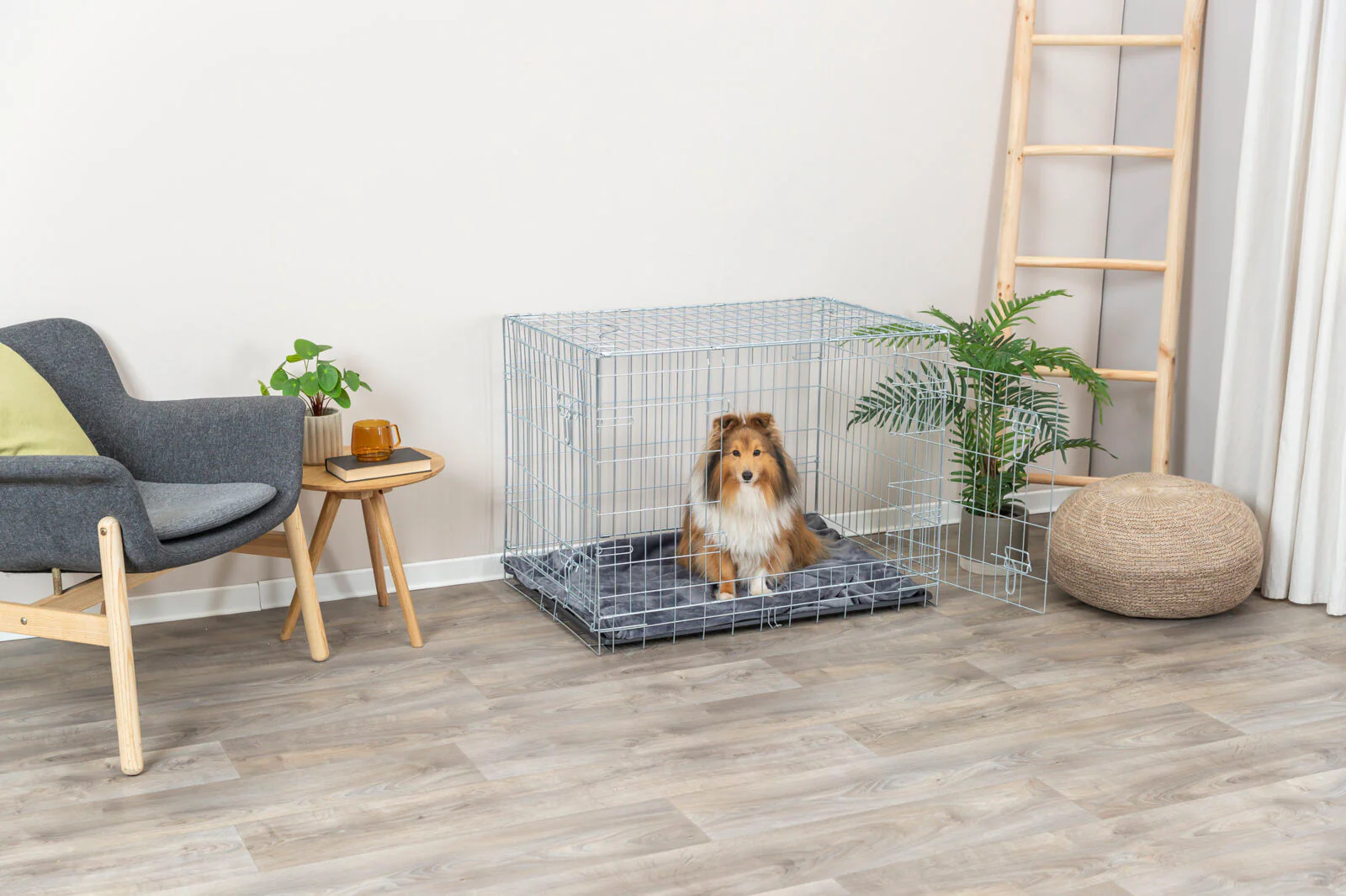 Hundebox Home - Image 11