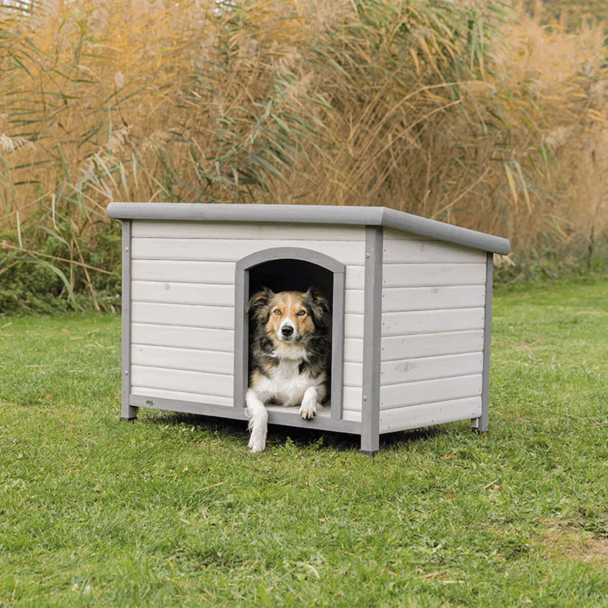 Hundehütte Classic - Image 4