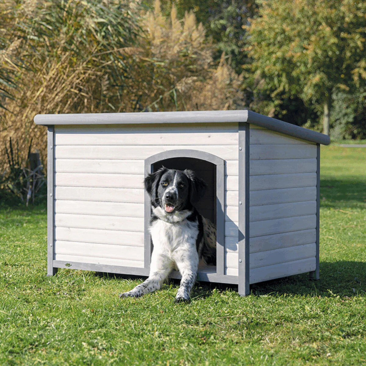 Hundehütte Classic - Image 7