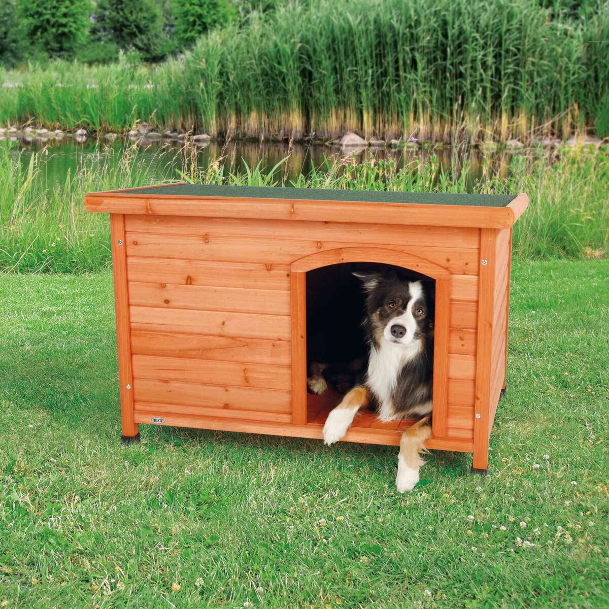 Hundehütte Classic - Image 3