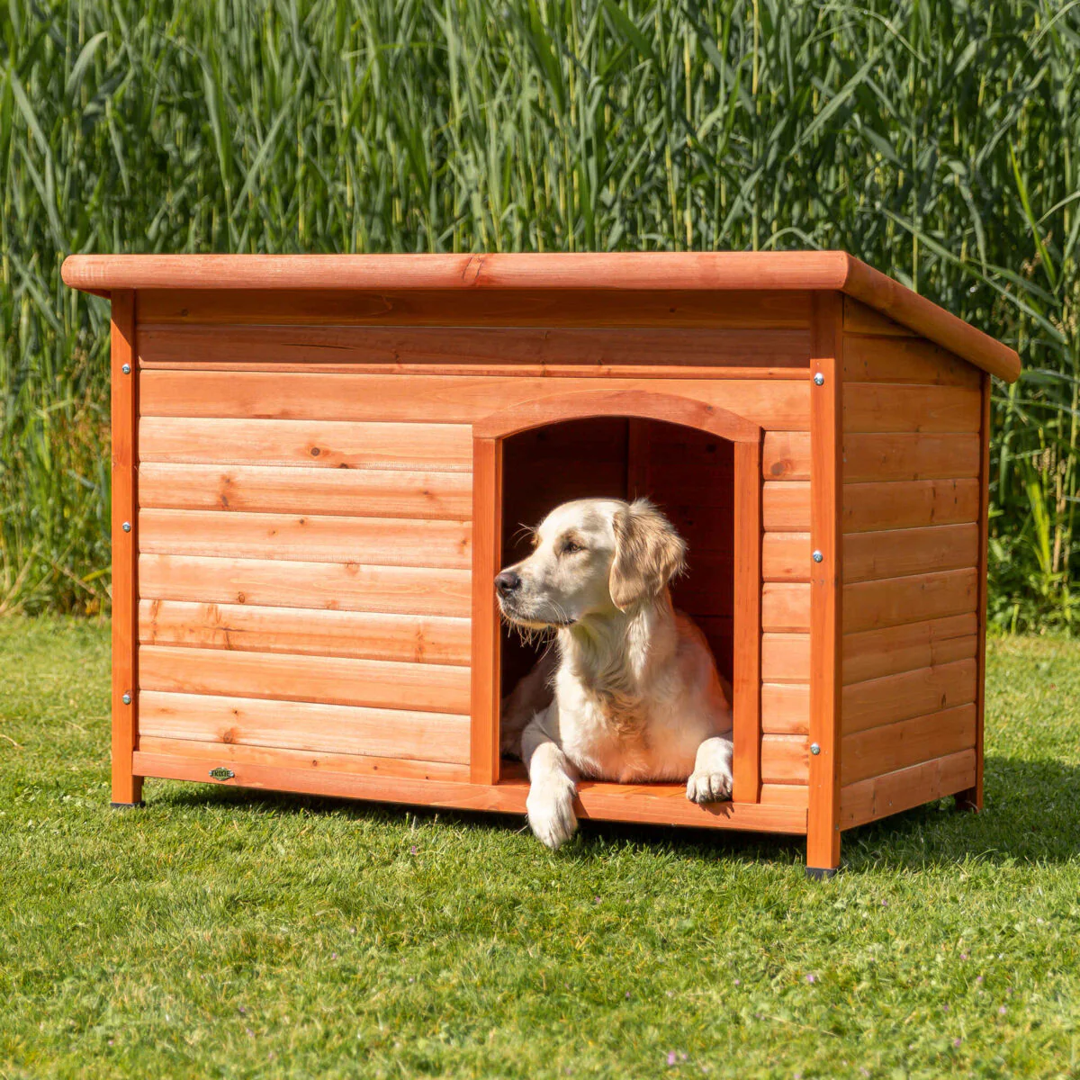 Hundehütte Classic - Image 8