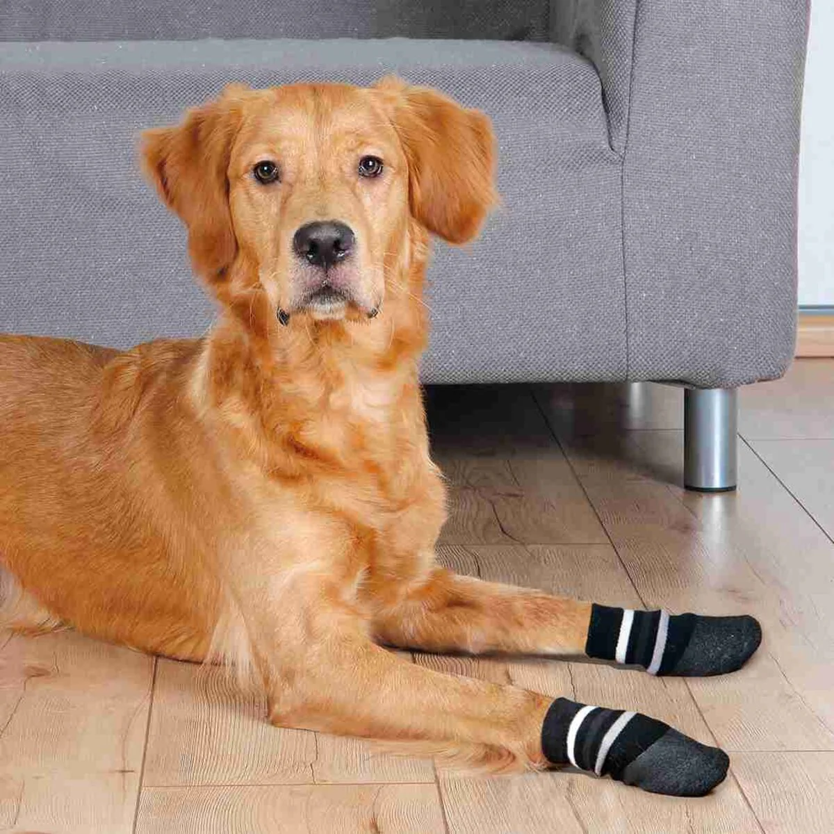 Hundesocken - Image 2