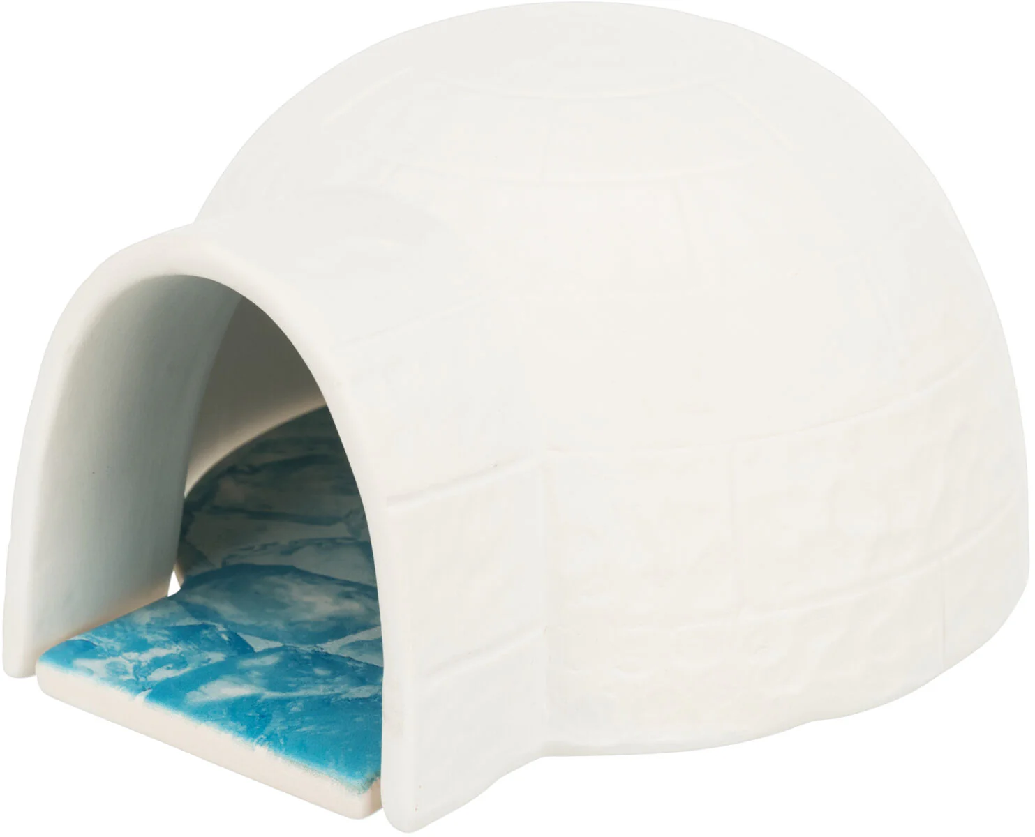 Iglu mit Kühlplatte - Image 3