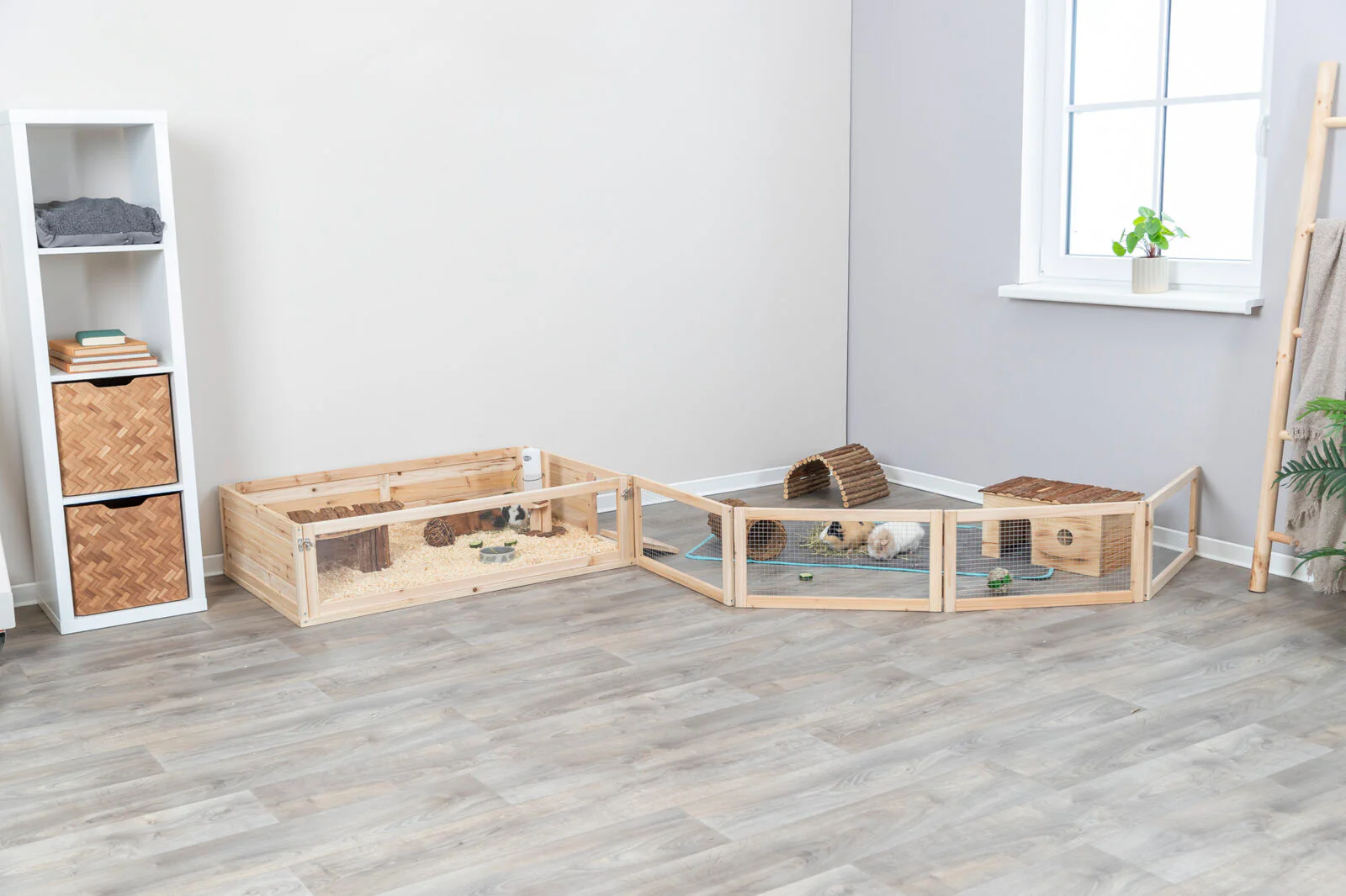 Indoor Freilaufgehege - Image 15