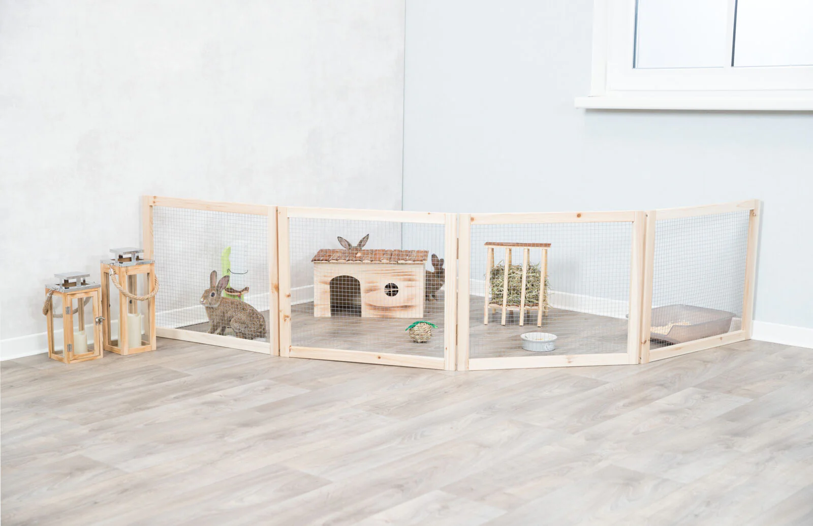 Indoor Freilaufgehege - Image 7