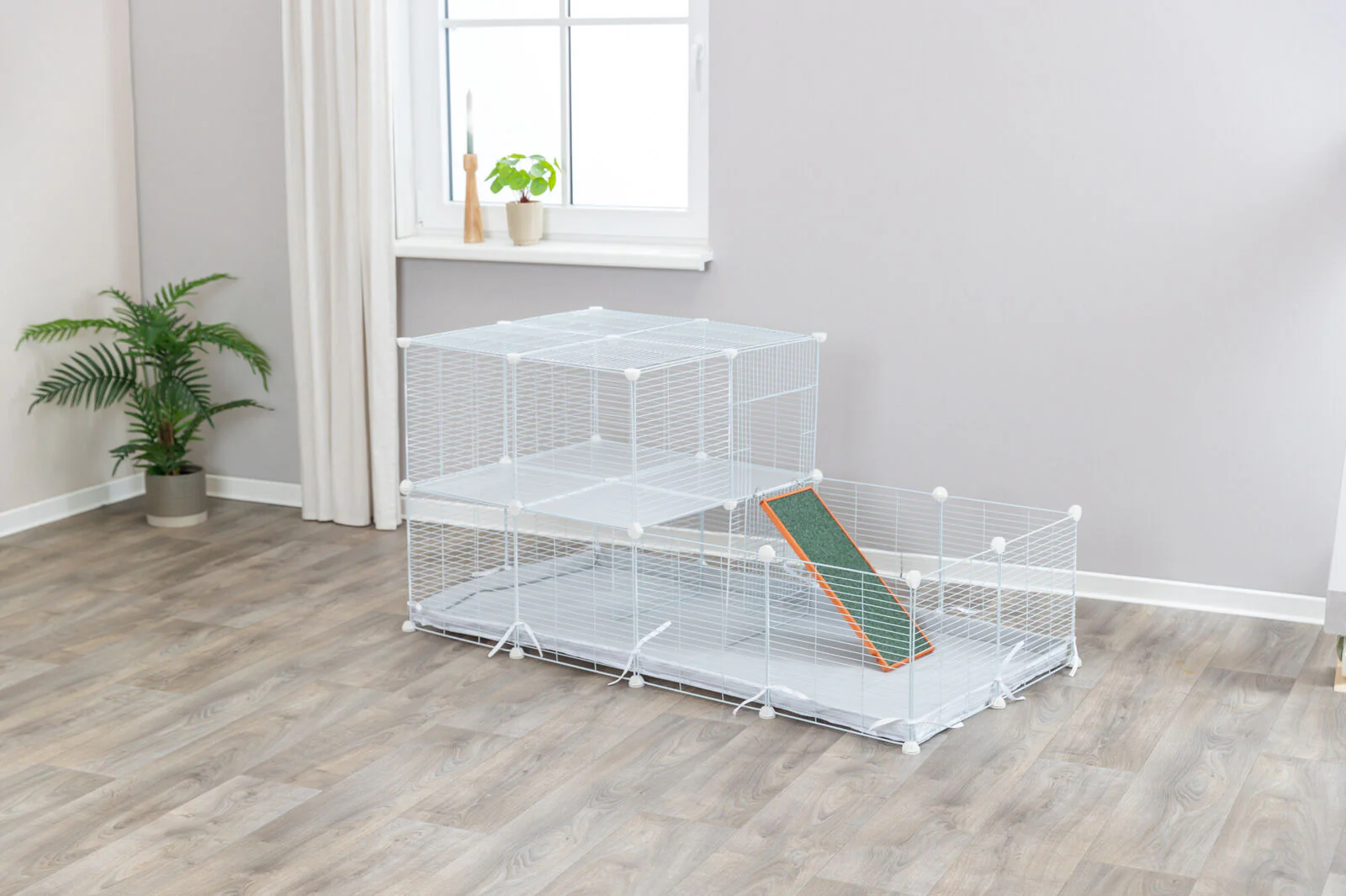 Indoor Freilaufgehege - Image 11