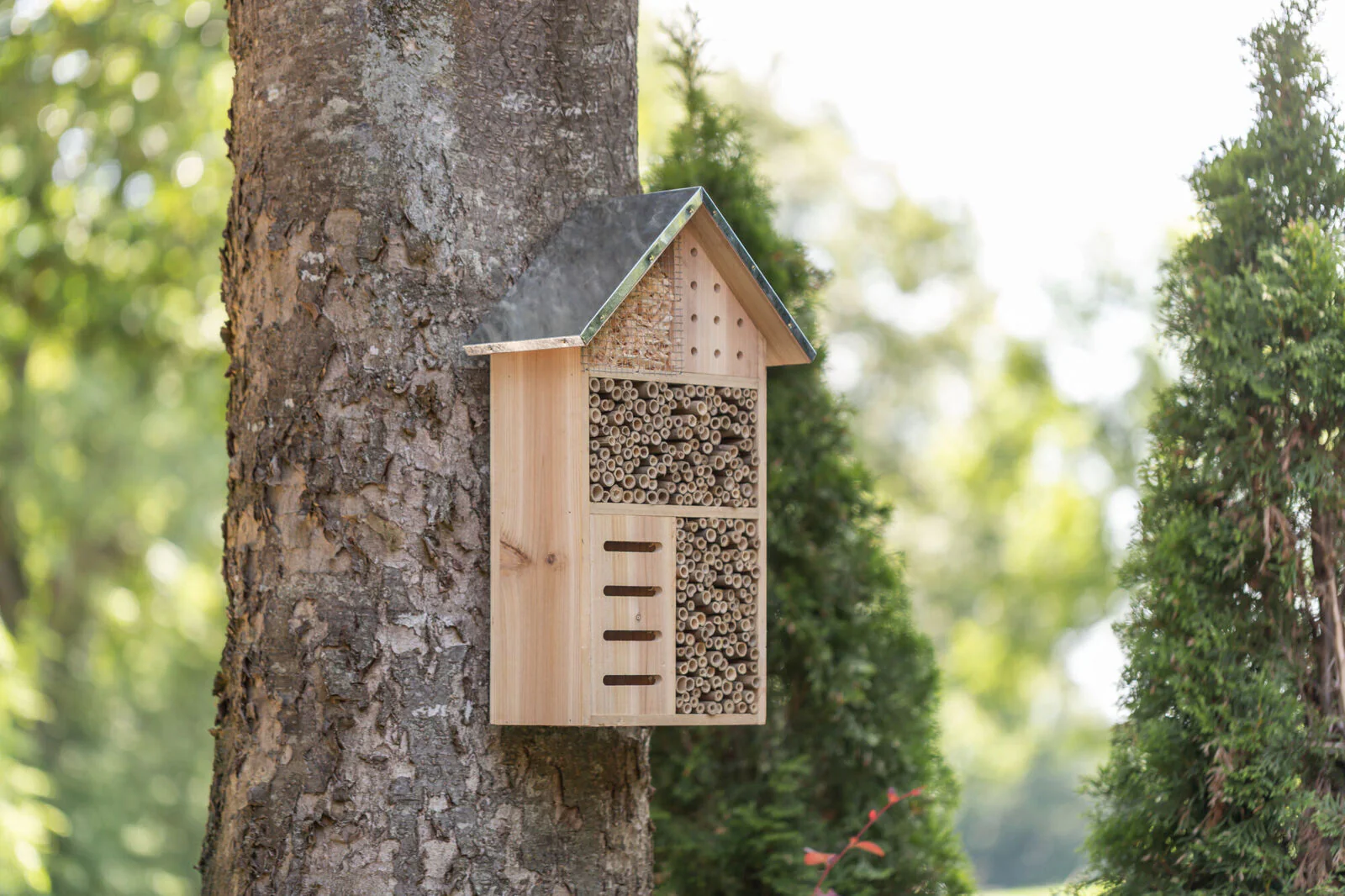 Insektenhotel - Image 5