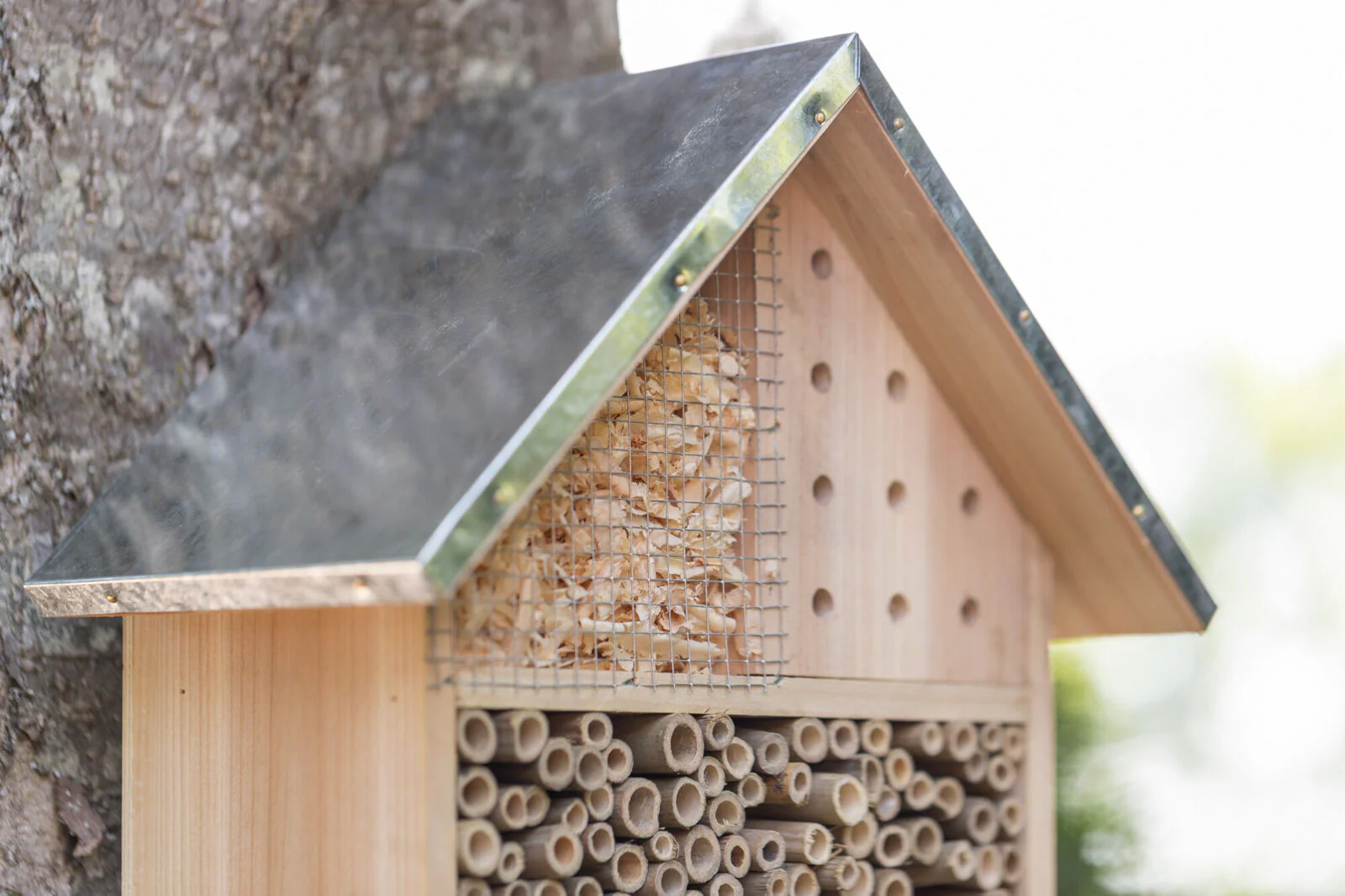 Insektenhotel - Image 6