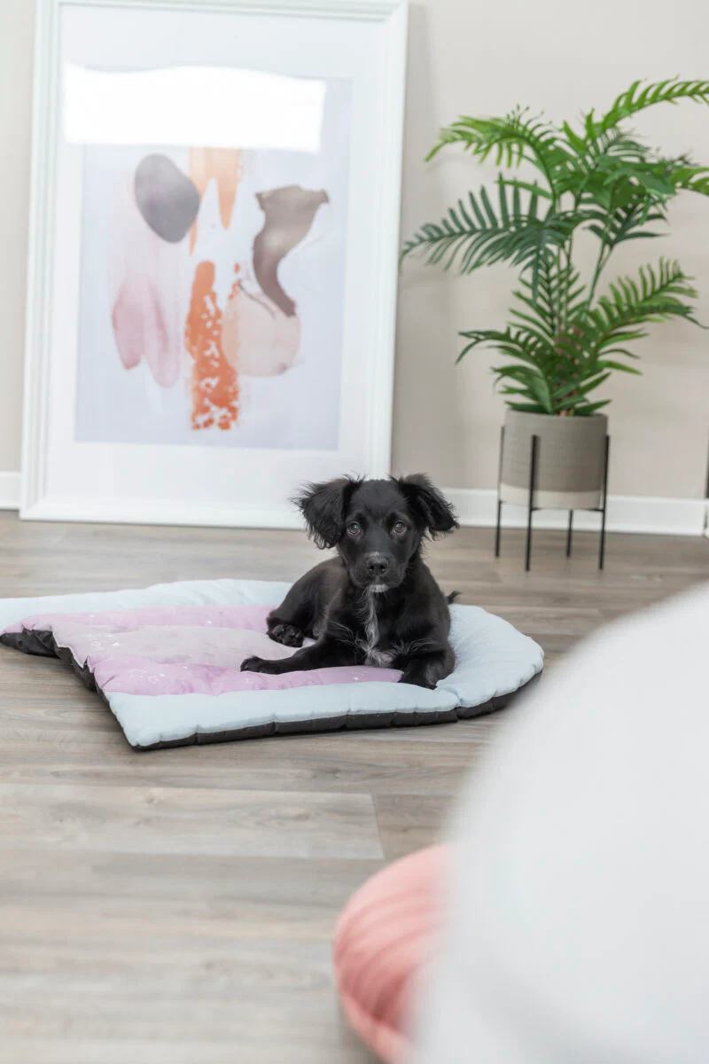 Junior Liegematte Patchwork - Image 3