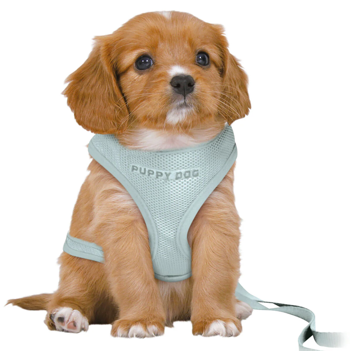 Junior Welpen-Softgeschirr mit Leine - Image 32