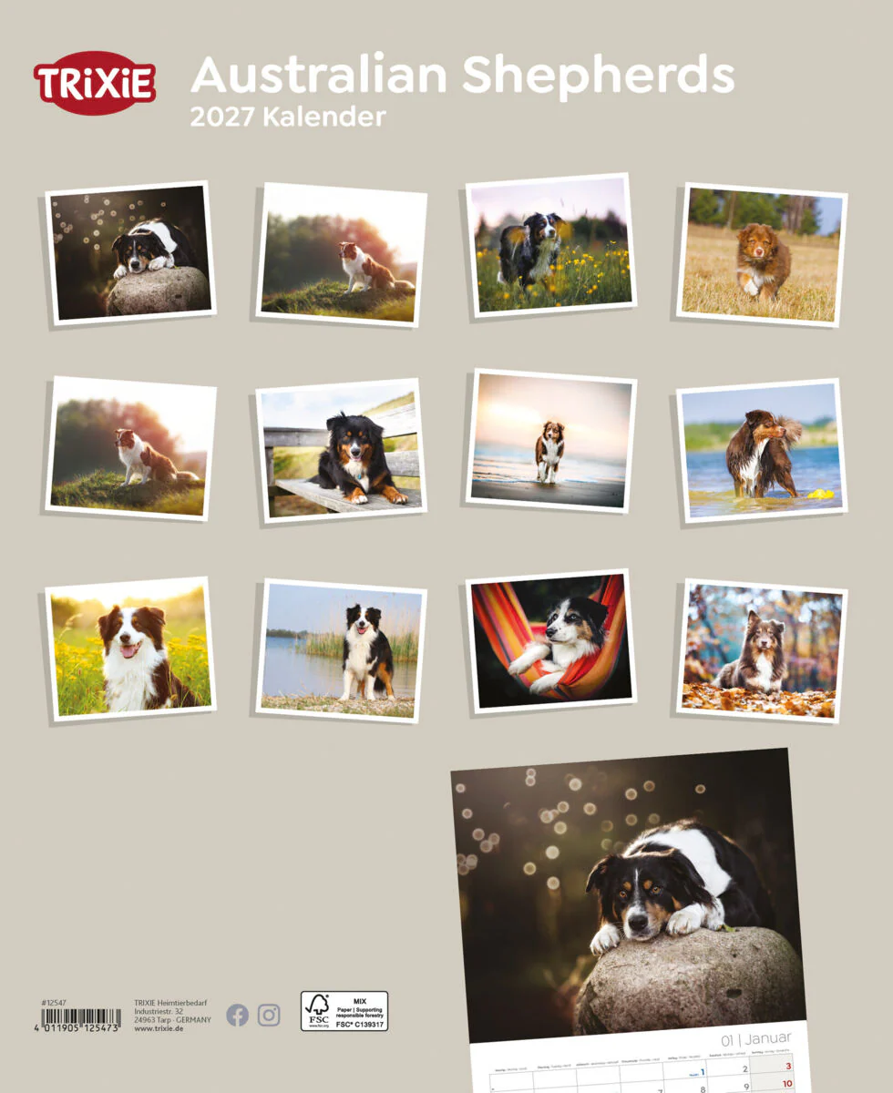 Kalender Australian Shepherd - Image 2