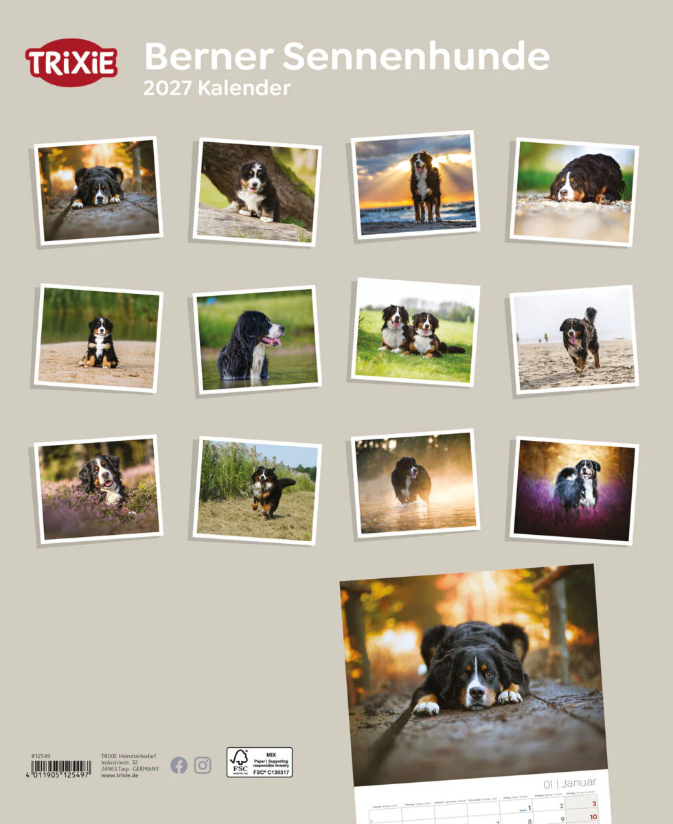 Kalender Berner Sennenhunde - Image 2